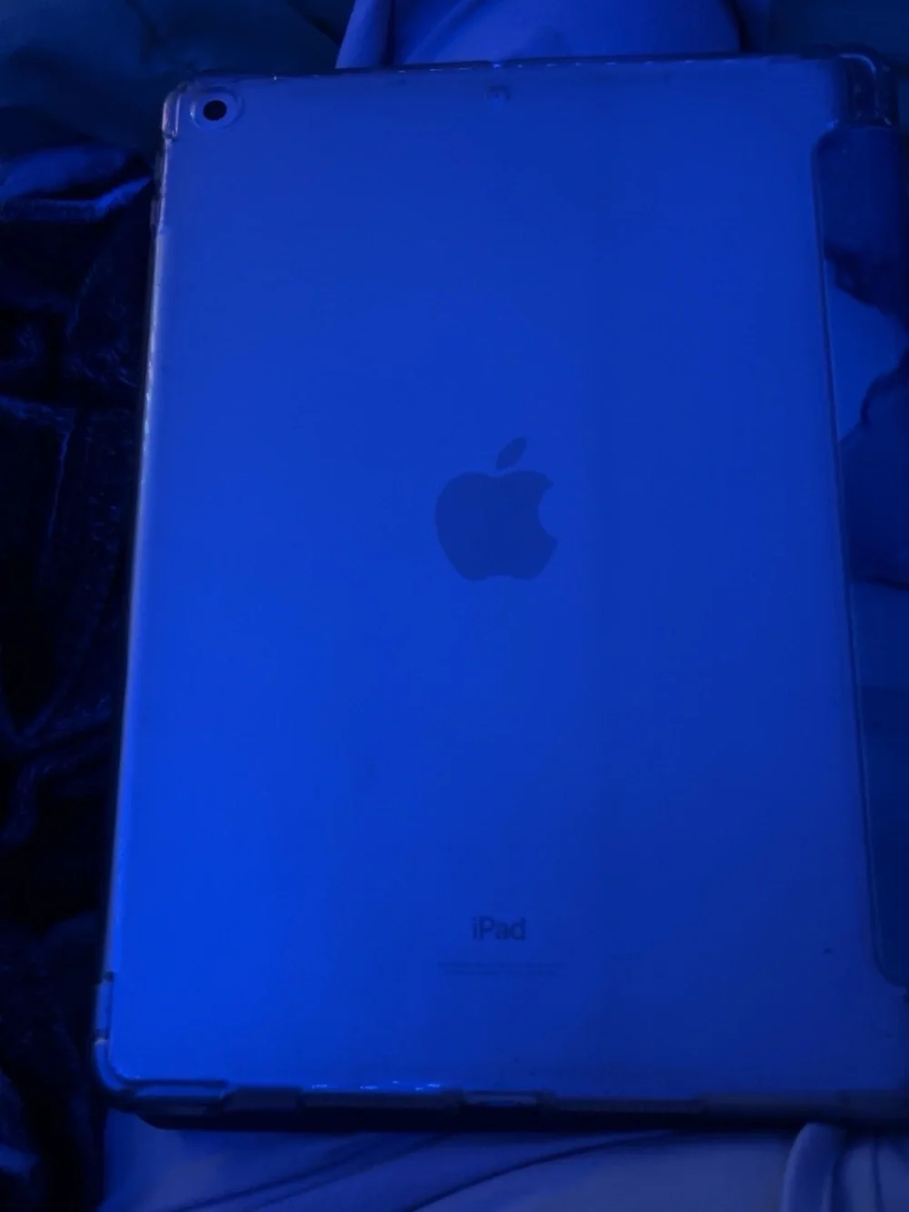 Apple Black Tablet with Clear Case and White Stylus
